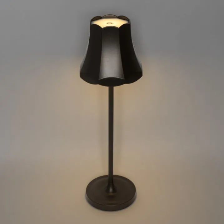 QAZQA Gartenbeleuchtung|Led-Außenleuchten*Set mit 2 Retro-Tischleuchten Dunkelbronze wiederaufladbar IP44 - Granny