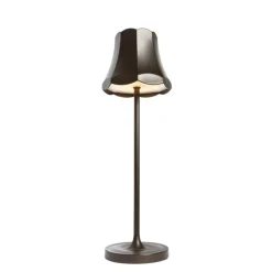 QAZQA Gartenbeleuchtung|Led-Außenleuchten*Set mit 2 Retro-Tischleuchten Dunkelbronze wiederaufladbar IP44 - Granny