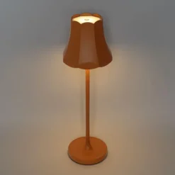 QAZQA Gartenbeleuchtung|Led-Außenleuchten*Set mit 2 Retro-Tischleuchten orange wiederaufladbar IP44 - Granny