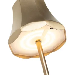 QAZQA Gartenbeleuchtung|Led-Außenleuchten*Set mit 2 Retro-Tischleuchten Roségold wiederaufladbar IP44 - Granny