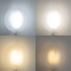 LUUMR Preisvorteil Auf Leuchtmittel|Led Lampen*Set mit 5 Smart E27 Dimmbare LED-Glühbirnen G125 Matt 7W 806lm 2700-6500K