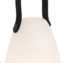 QAZQA Gartenbeleuchtung|Led-Außenleuchten*Set mit 2 Tischleuchten weiß RGBW wiederaufladbar IP54 - Pion