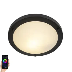 QAZQA Gartenbeleuchtung|Badezimmerlampen*Smart Deckenleuchte schwarz inkl. WiFi A60 IP44 - Yuma 31