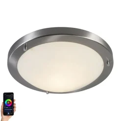 QAZQA Gartenbeleuchtung|Badezimmerlampen*Smart Deckenleuchte Stahl 31 cm inkl. WiFi A60 IP44 - Yuma