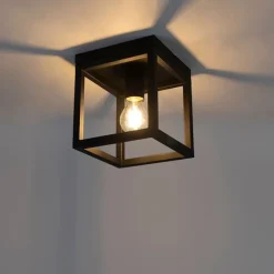 QAZQA Smarte Deckenleuchten|Deckenleuchten*Smart Industrie Deckenleuchte schwarz inkl. WiFi A60 - Käfig 1