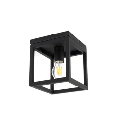 QAZQA Smarte Deckenleuchten|Deckenleuchten*Smart Industrie Deckenleuchte schwarz inkl. WiFi A60 - Käfig 1