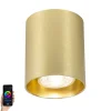 QAZQA Smarte Spots|Smarte Deckenleuchten*Smart Spot gold inkl. WiFi GU10 - Tubo