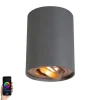 QAZQA Smarte Spots|Smarte Deckenleuchten*Smart Spot grau mit Kupfer inkl. GU10 WiFi Lichtquelle - Rondoo Up