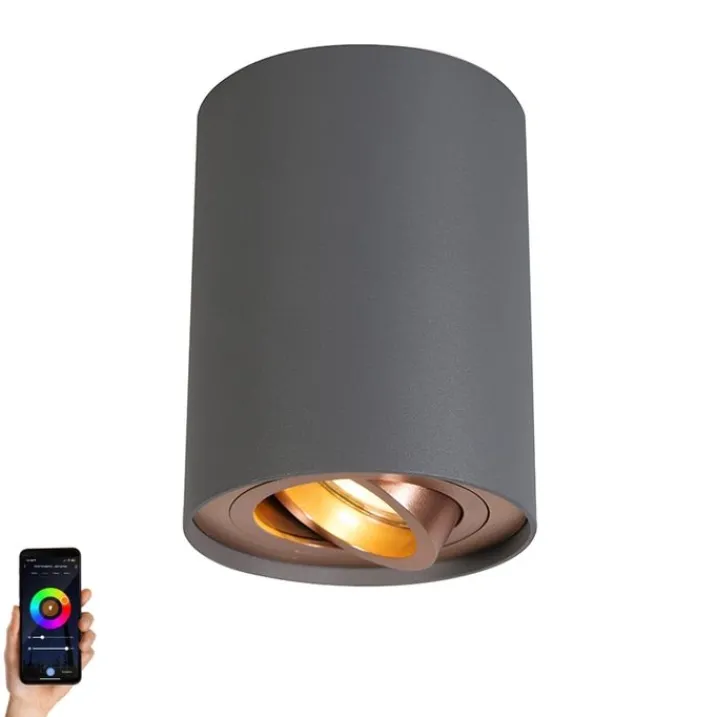 QAZQA Smarte Spots|Smarte Deckenleuchten*Smart Spot grau mit Kupfer inkl. GU10 WiFi Lichtquelle - Rondoo Up