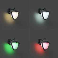 QAZQA Gartenbeleuchtung|Led-Außenleuchten*Smarte Außenwandleuchte schwarz mit Opalglas inkl. LED IP54 - Classica