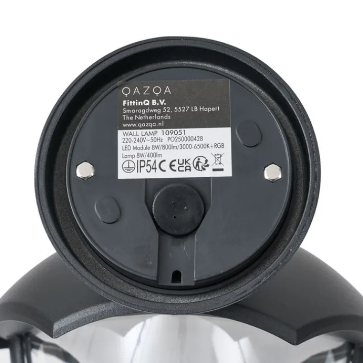 QAZQA Gartenbeleuchtung|Led-Außenleuchten*Smarte Außenwandleuchte schwarz mit Klarglas inkl. LED IP54 - Classica