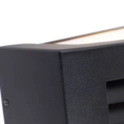 QAZQA Smarte Außenbeleuchtung|Außenwandleuchten*Smarte Außenwandleuchte schwarz IP44 inkl. WLAN A60 - Hurricane 1