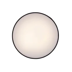 Calex Küchenlampen|Led-Deckenleuchten*Smarte Deckenleuchte schwarz 30cm inkl. LED RGB mit Fernbedienung - Taiko