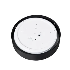 Calex Küchenlampen|Led-Deckenleuchten*Smarte Deckenleuchte schwarz 30cm inkl. LED RGB mit Fernbedienung - Taiko