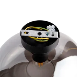 QAZQA Smarte Deckenleuchten|Deckenleuchten*Smarte Deckenleuchte schwarz mit Rauchglas inkl. WLAN P45 - Busa