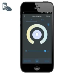 QAZQA Smarte Deckenleuchten|Deckenleuchten*Smarte Deckenleuchte Schwarz mit Gold inkl. WiFi P45 - VT