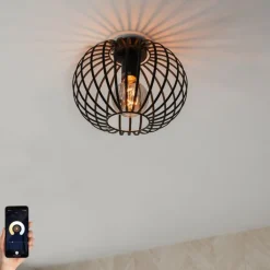 QAZQA Deckenleuchten|Esszimmerlampen*Smarte Deckenleuchte schwarz 30 cm inkl. Wifi G95 - Johanna