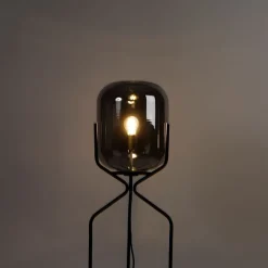 QAZQA Smarte Stehlampen|Stehlampen*Smarte Stehleuchte schwarz inkl. WiFi A60 Rauchglas - Bliss