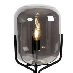 QAZQA Smarte Stehlampen|Stehlampen*Smarte Stehleuchte schwarz inkl. WiFi A60 Rauchglas - Bliss