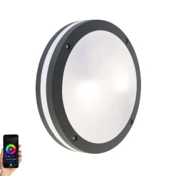 QAZQA Gartenbeleuchtung|Smarte Außenbeleuchtung*Smarte Wand- und Deckenleuchte Dunkelgrau inkl. WLAN A60 - Glow