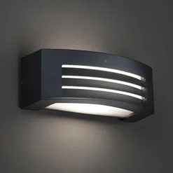 QAZQA Smarte Außenbeleuchtung|Außenwandleuchten*Smarte Wandleuchte Anthrazit IP44 inkl. Wifi P45 - Hurricane 1