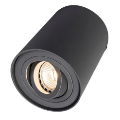 QAZQA Smarte Spots|Smarte Deckenleuchten*Smarter Aufbauspot dunkelgrau kippbar inkl. Wifi GU10 - Rondoo up