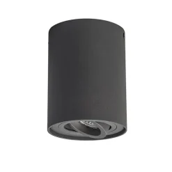 QAZQA Smarte Spots|Smarte Deckenleuchten*Smarter Aufbauspot dunkelgrau kippbar inkl. Wifi GU10 - Rondoo up