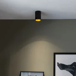 QAZQA Smarte Spots|Smarte Deckenleuchten*Smarter Aufbauspot schwarz mit gold inkl. WiFi GU10 - Deep