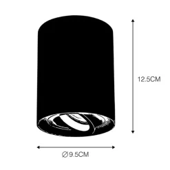 QAZQA Smarte Spots|Smarte Deckenleuchten*Smarter Aufbauspot schwarz mit Stahl inkl. WiFi GU10 - Rondoo up