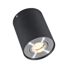 QAZQA Smarte Spots|Smarte Deckenleuchten*Smarter Aufbauspot schwarz mit Stahl inkl. WiFi GU10 - Rondoo up