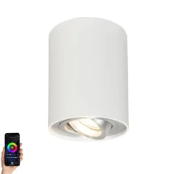 QAZQA Smarte Spots|Smarte Deckenleuchten*Smarter Aufbaustrahler weiß und Stahl neigbar inkl. Wifi GU10 - Rondoo up