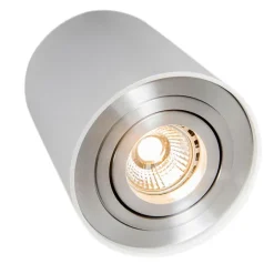 QAZQA Smarte Spots|Smarte Deckenleuchten*Smarter Aufbaustrahler weiß und Stahl neigbar inkl. Wifi GU10 - Rondoo up