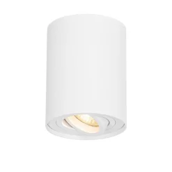 QAZQA Smarte Spots|Smarte Deckenleuchten*Smarter Deckenspot weiß verstellbar inkl. Wifi GU10 - Rondoo up