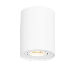 QAZQA Smarte Spots|Smarte Deckenleuchten*Smarter Deckenspot weiß verstellbar inkl. Wifi GU10 - Rondoo up