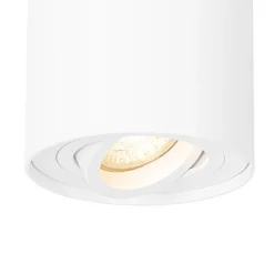 QAZQA Smarte Spots|Smarte Deckenleuchten*Smarter Deckenspot weiß verstellbar inkl. Wifi GU10 - Rondoo up