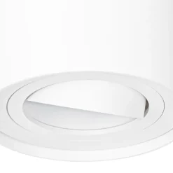 QAZQA Smarte Spots|Smarte Deckenleuchten*Smarter Deckenspot weiß verstellbar inkl. Wifi GU10 - Rondoo up