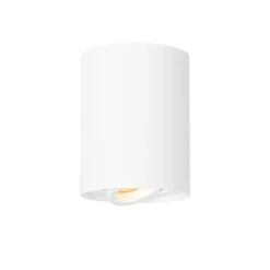 QAZQA Smarte Spots|Smarte Deckenleuchten*Smarter Deckenspot weiß verstellbar inkl. Wifi GU10 - Rondoo up