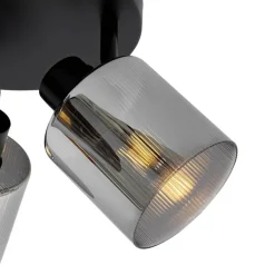 QAZQA Deckenstrahler|Aufbaustrahler*Smarter Deckenstrahler schwarz mit Rauchglas rund verstellbar inkl. 3 Wifi A60 - Laura