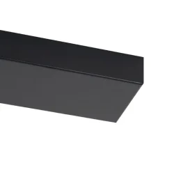 QAZQA Deckenstrahler|Aufbaustrahler*Smarter Deckenstrahler schwarz 2-flammig verstellbar inkl. 2 Wifi GU10 50mm - Renna