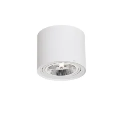 QAZQA Deckenstrahler|Aufbaustrahler*Smarter Deckenstrahler weiß dreh- und schwenkbar inkl. Wifi GU10 111mm - Rondoo Up