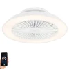 QAZQA Deckenventilator Mit Licht|Wohnzimmerlampen*Smarter Deckenventilator Weiß 59,5cm inkl. LED Dimmbar mit Fernbedienung - Deniz