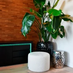 Calex Smarte Glühbirnen|Smarte Glühbirnen*Smarter LED-Streifen RGBW und dimmbar in Kelvin 2 m inkl. Treiber