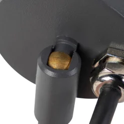 QAZQA Gartenbeleuchtung|Smarte Außenbeleuchtung*Smarter moderner Spike-Spot anthrazit IP44 inkl. WiFi GU10 - Solo