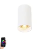 QAZQA Smarte Spots|Smarte Deckenleuchten*Smarter moderner Spot weiß inkl. WiFi GU10 Lichtquelle - Tuba