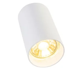 QAZQA Smarte Spots|Smarte Deckenleuchten*Smarter moderner Spot weiß inkl. WiFi GU10 Lichtquelle - Tuba