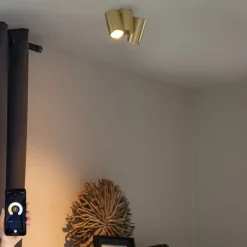 QAZQA Deckenstrahler|Aufbaustrahler*Smarter Strahler Messing 2-flammig Verstellbar Inkl. 2 Wifi GU10 50mm - Michael