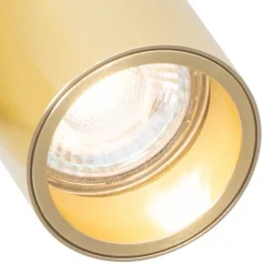 QAZQA Deckenstrahler|Aufbaustrahler*Smarter Strahler Messing 2-flammig Verstellbar Inkl. 2 Wifi GU10 50mm - Michael