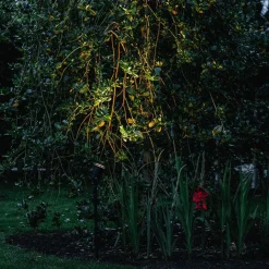 QAZQA Gartenbeleuchtung|Außenstrahler*Spike Spot schwarz 40 cm inkl. Kabel und Stecker IP44 - Basic