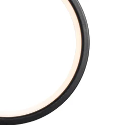 QAZQA Gartenbeleuchtung|Led-Außenleuchten*Spitzenlicht Schwarz 50 cm Inkl. Wiederaufladbare und Solar LED IP65 - Adalind