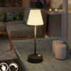 Newgarden Gartenbeleuchtung|Led-Außenleuchten*Tischleuchte dunkelgrau inkl. LED wiederaufladbar mit Touchdimmer - Renata